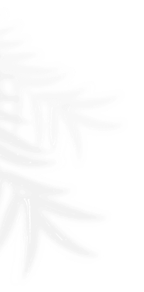 vector-1