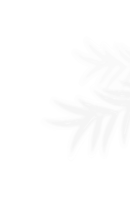 vector-2