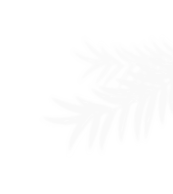 vector-3