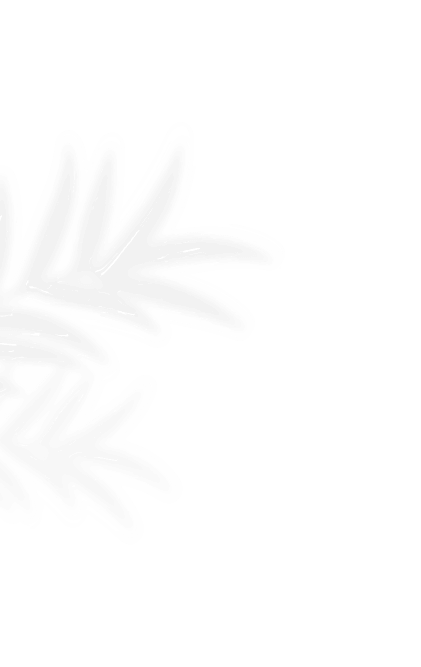 vector-4