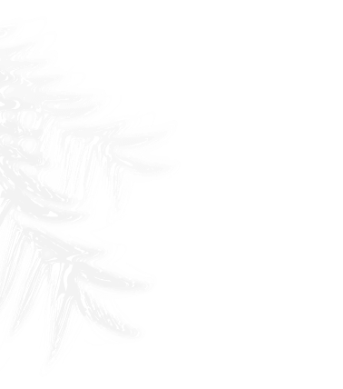 vector-6