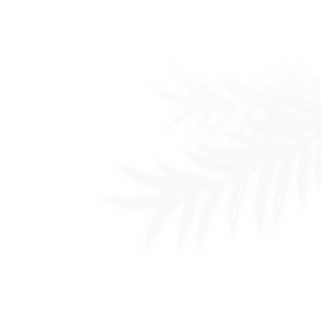 vector-7