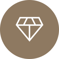 icon-Core Value
