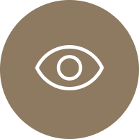 icon-Mission
